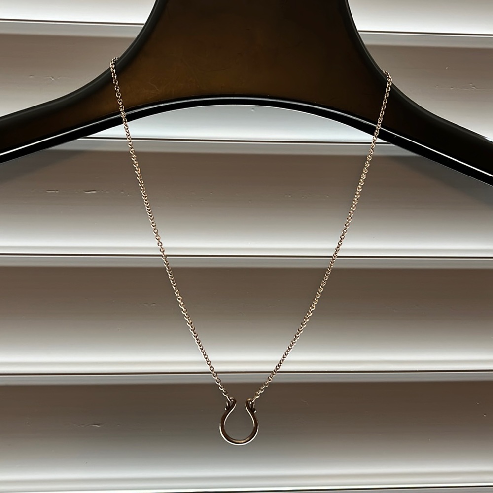 Horse shoe style necklace from James Avery.